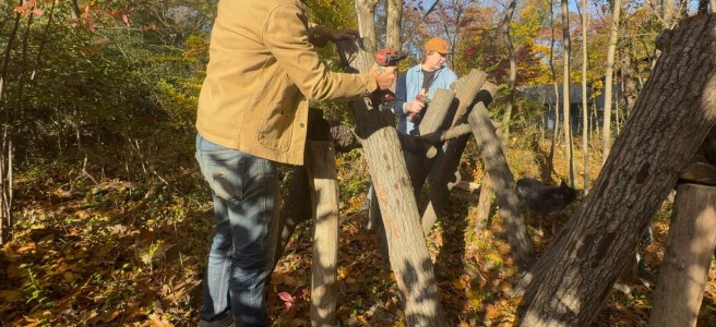 Mushroom inoculating.