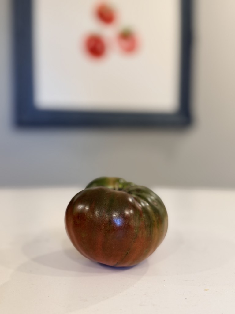 Volunteer tomato