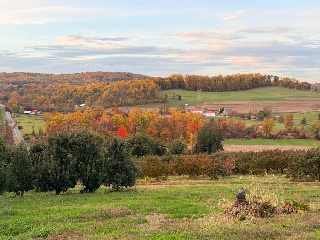 Scenic view of a colorful autumn landscape with rolling hills, vibrant foliage, and a rural road winding through the countryside.