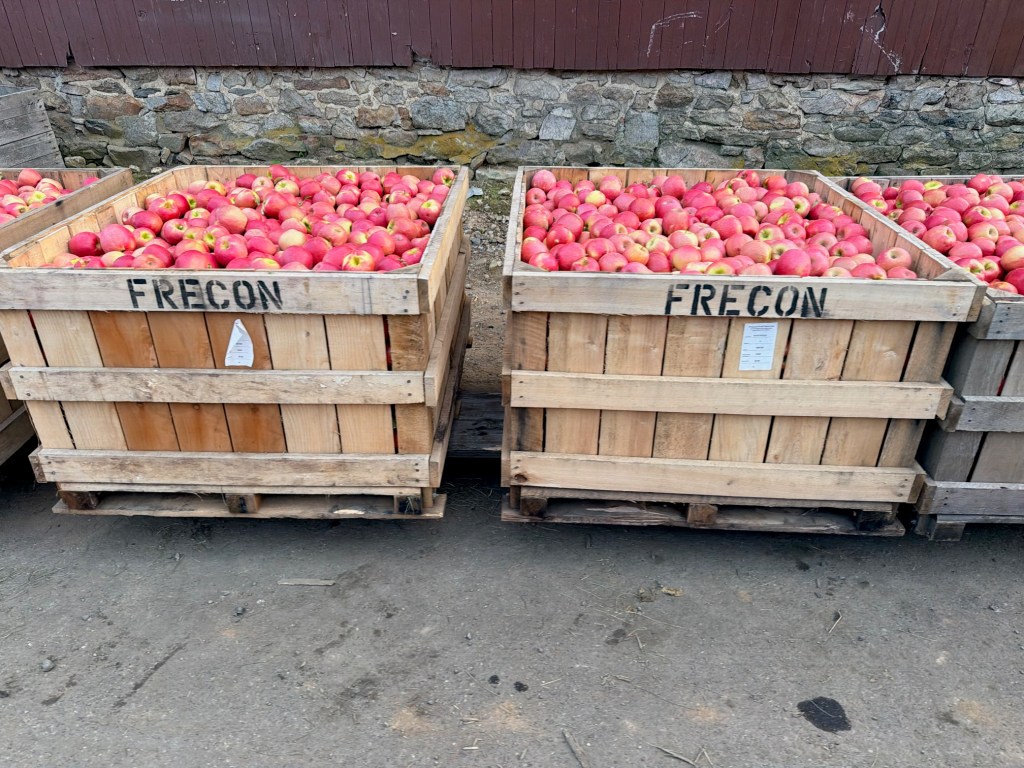 Two wooden crates filled with red apples, with the word 'FRECON' painted on the front of each crate.