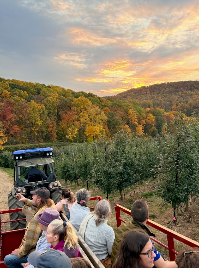 A group of people sitting on a tractor ride in an orchard, surrounded by colorful autumn trees and a sunset sky.