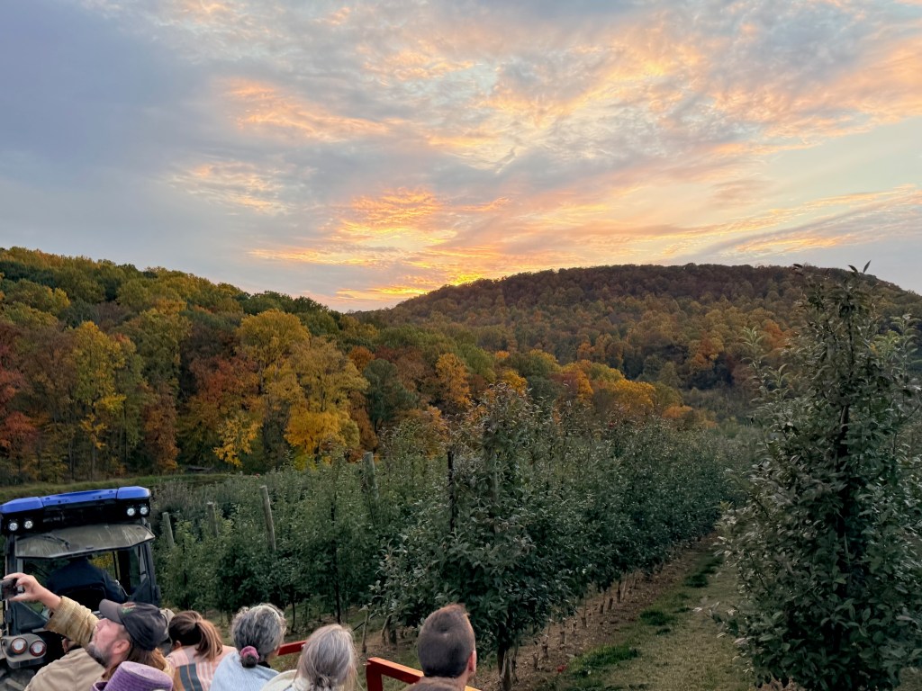 View of a sunset over a vibrant autumn landscape, with an orchard in the foreground and colorful trees in the background, featuring people enjoying the scene.